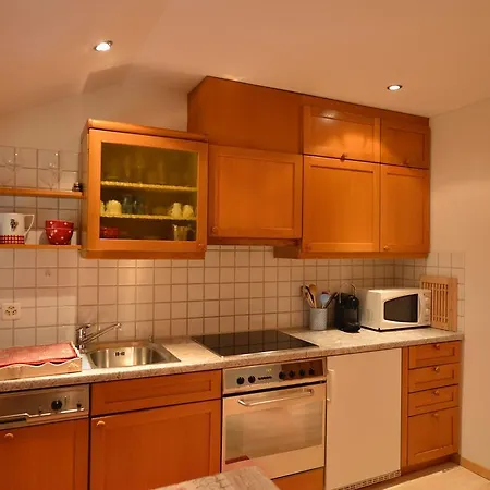 Apartment Surlej